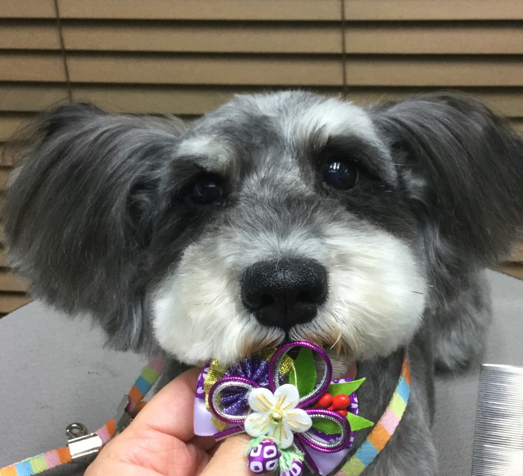 DE192008-85B0-475B-871B-D927D49B91F5