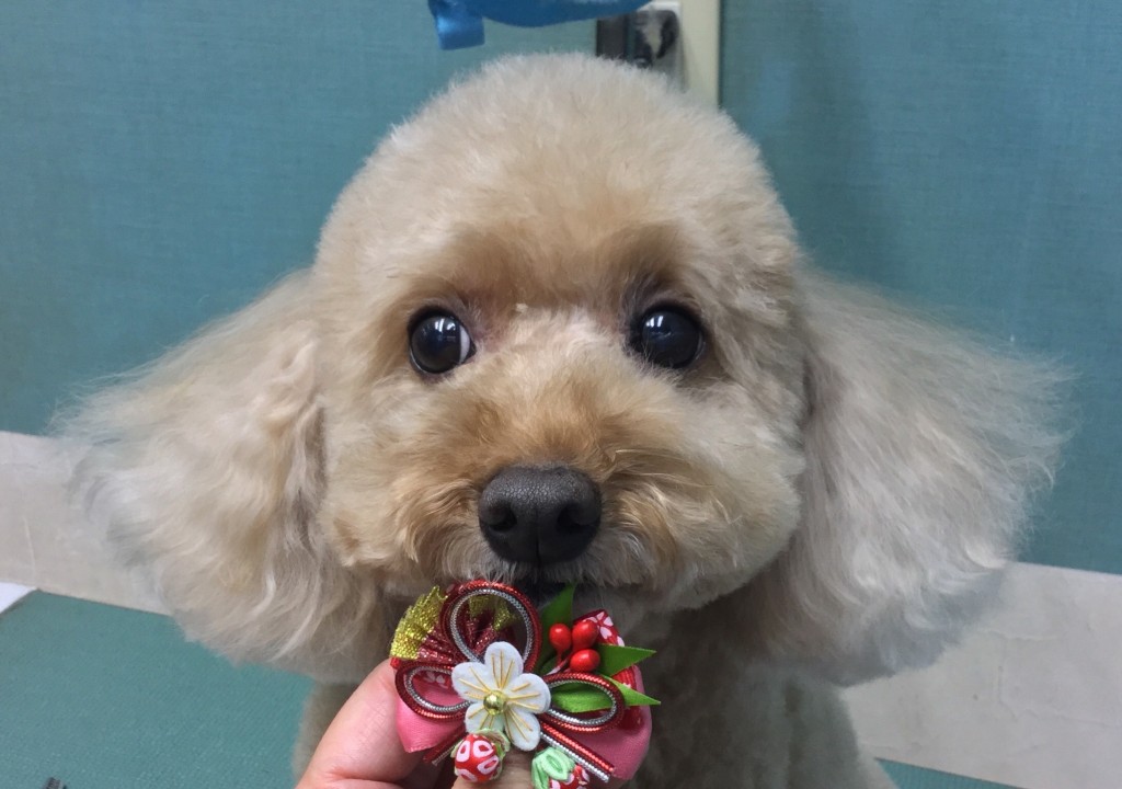 DF15F6E6-B7E5-4350-9211-8A18D4C2232E