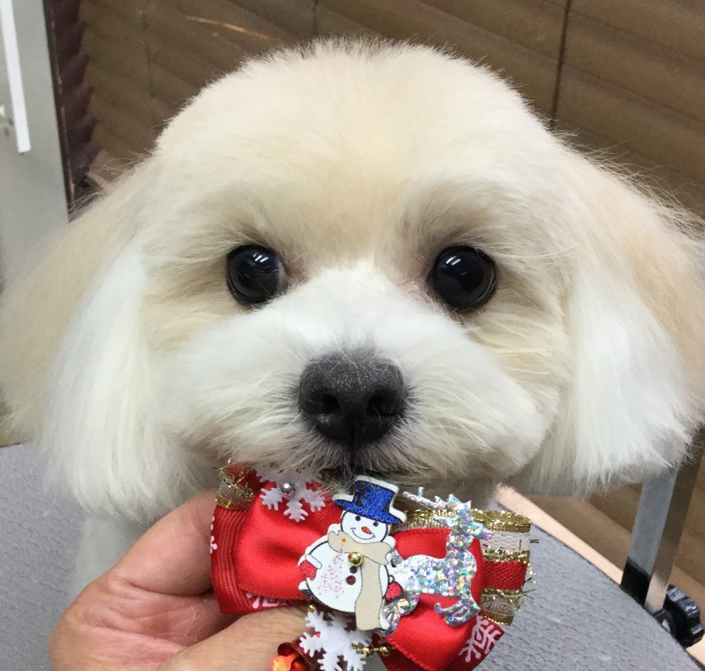 DF99A547-F123-4B50-AEA4-2AEBBAC7D813