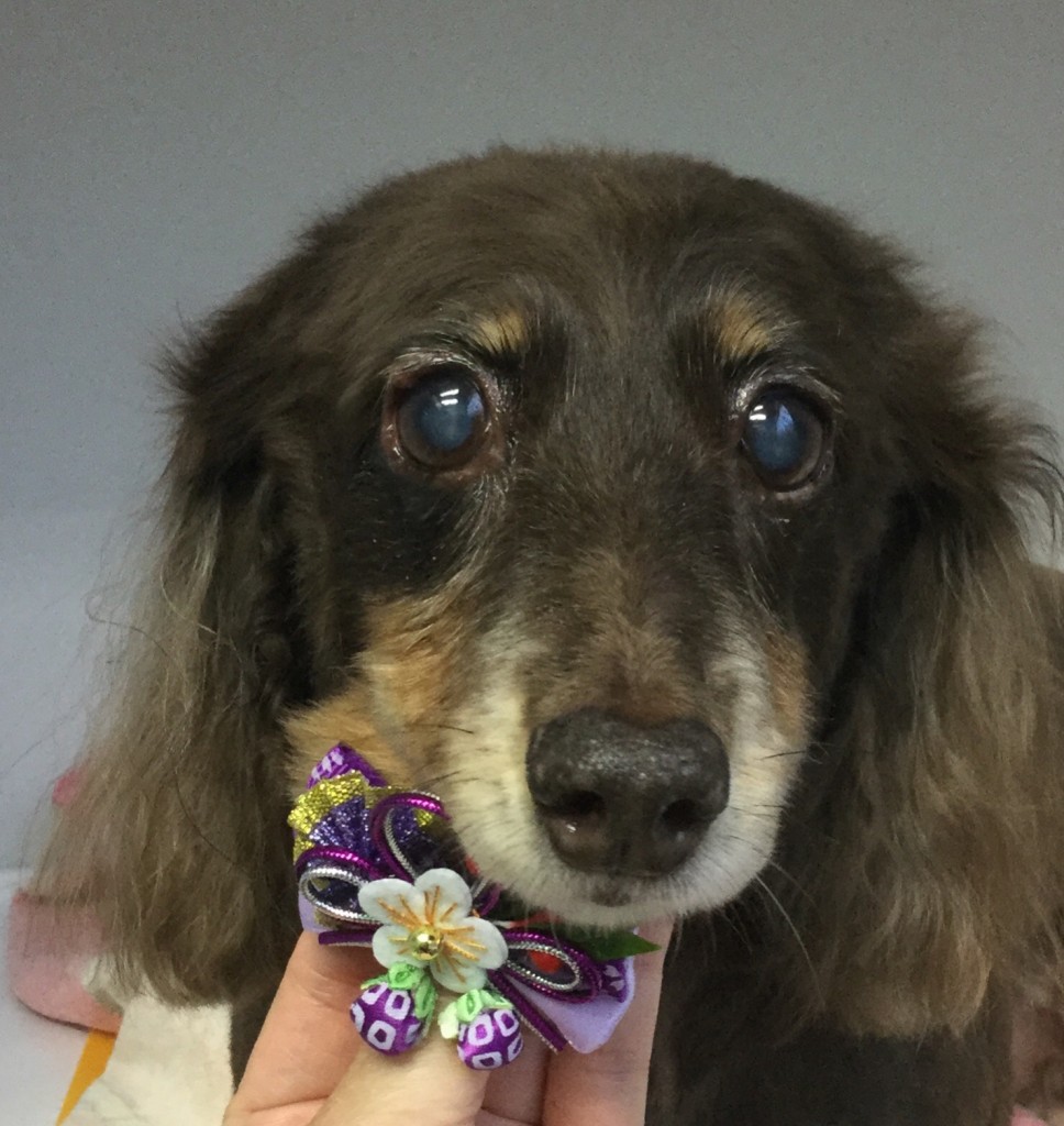 DFC85E71-5315-401B-A459-7232C6C0E37B