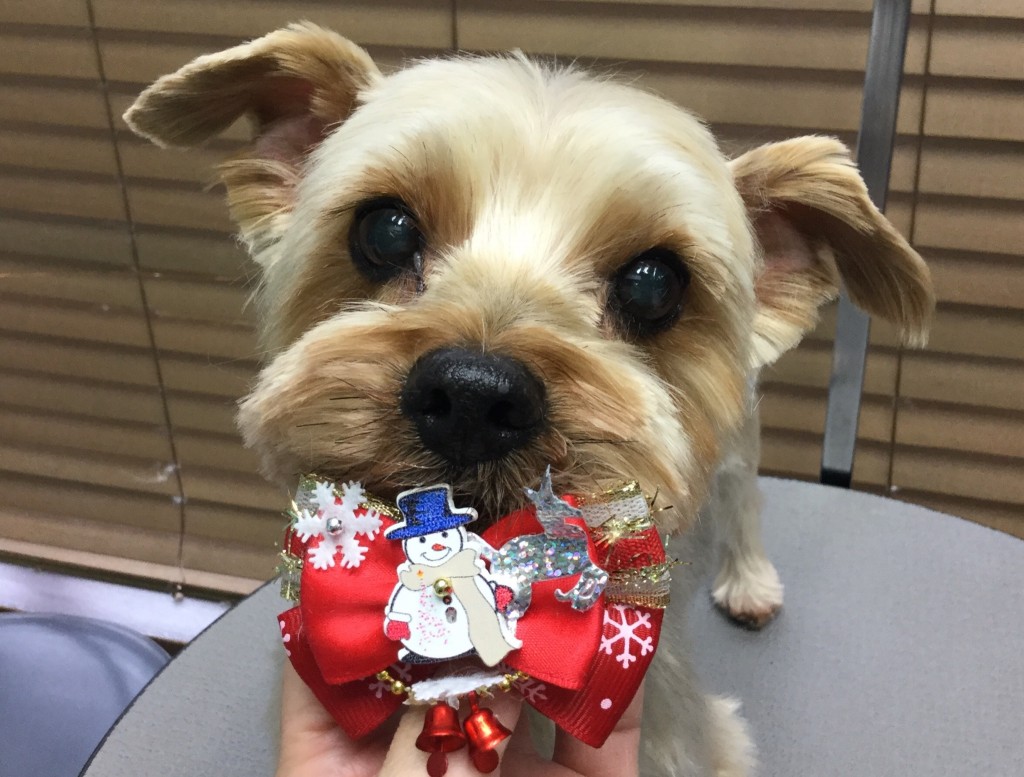 E0A8597D-5DE3-4AB8-8CF5-AFEE09CD4D22