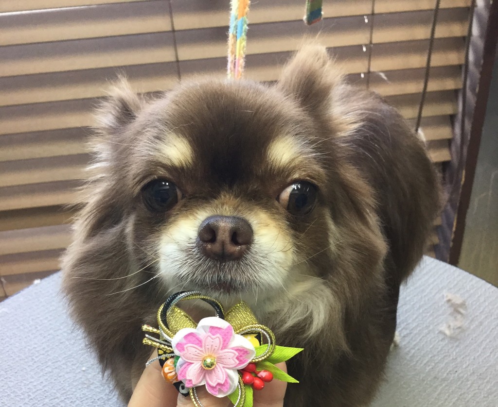 E0D4529D-C404-4B64-916D-DC299AB5FB7A