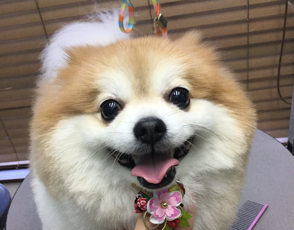 E58BB131-4442-4A6A-949B-3FA5190DDD35