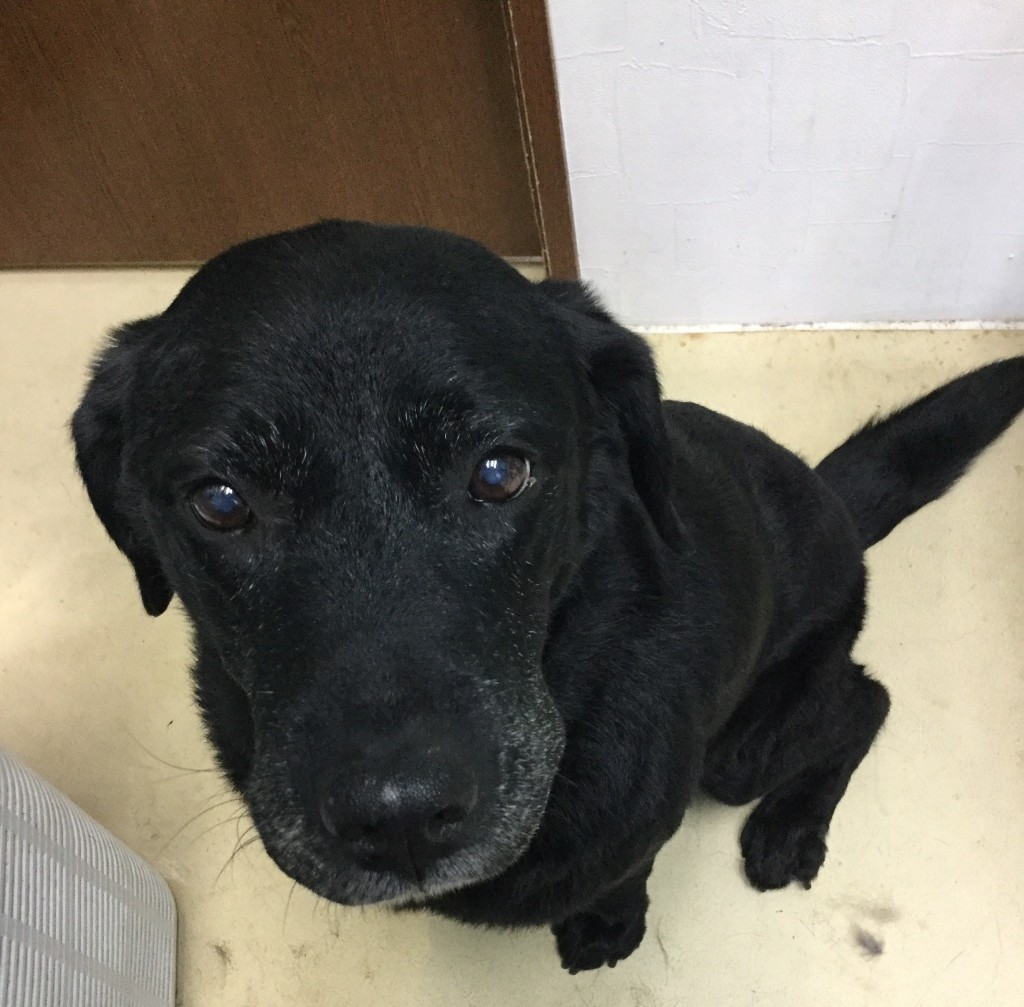 E675F75B-4538-4F30-9171-AE95B94BDB7C