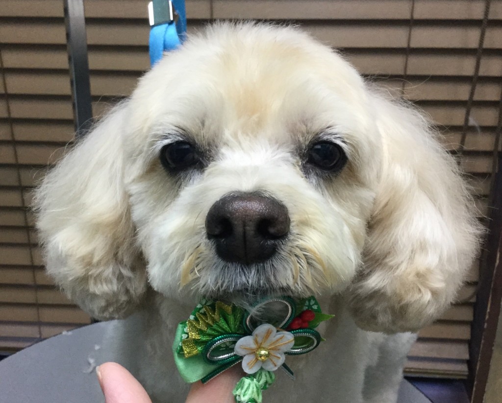 ED7B0C91-0994-47EF-A626-0E4FB940B6EE