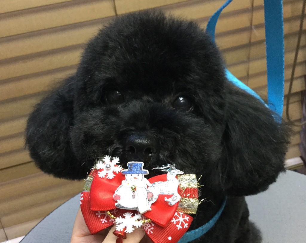 EF018391-F127-4EEC-9542-0E248B9FA140