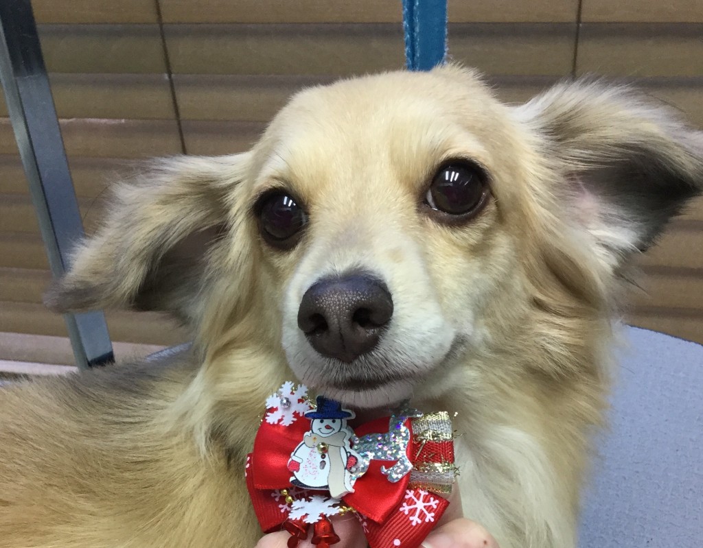 EF790C60-B657-489B-9389-B446C0708519