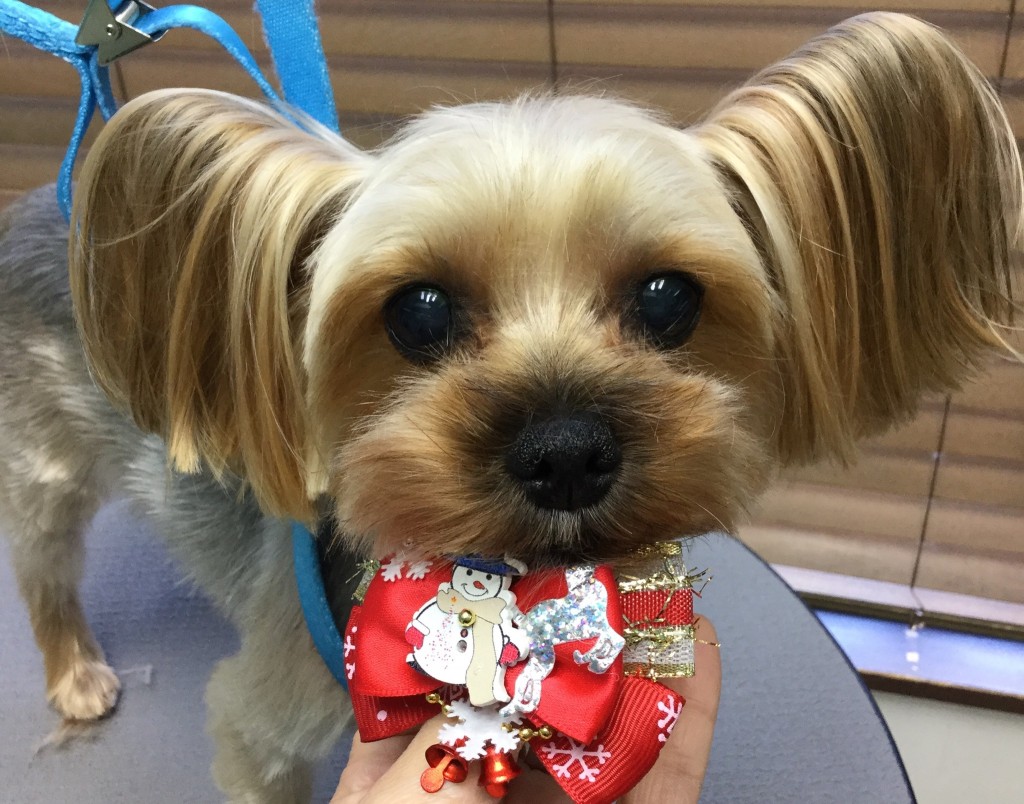 F01282F4-1A4A-49D7-A523-E28EF117F0AB