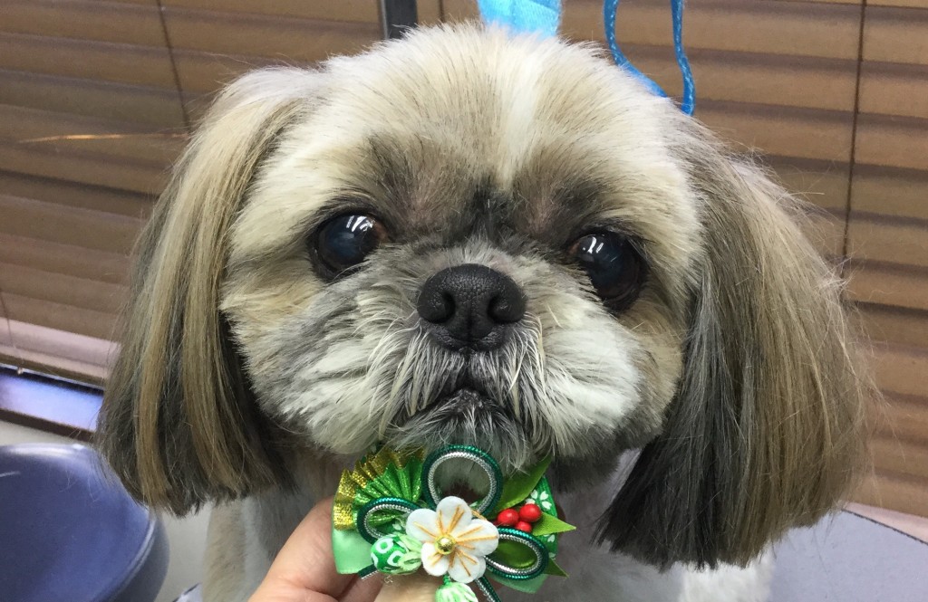 F05D6658-5415-4F08-A444-8EF52B88A58B