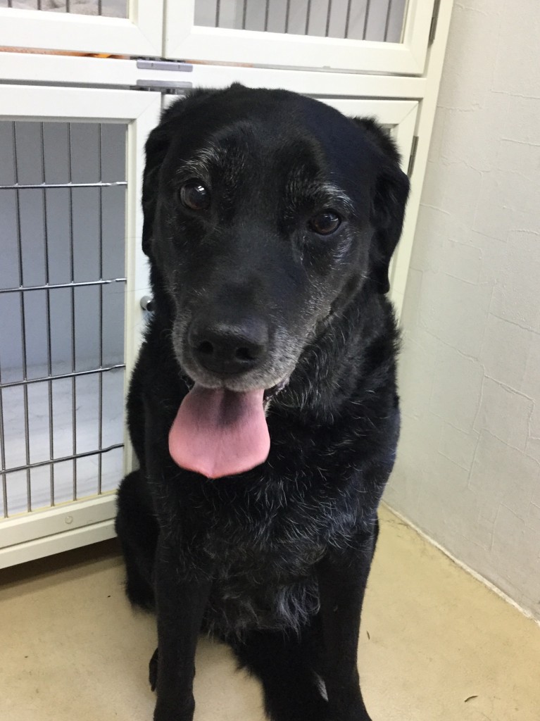 F1B24FCF-A4A1-4F4B-A02E-B367AE666ECF