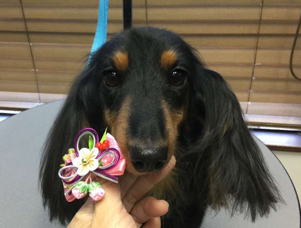 F3692E90-B07C-44EB-B720-8F1C8976AD9A