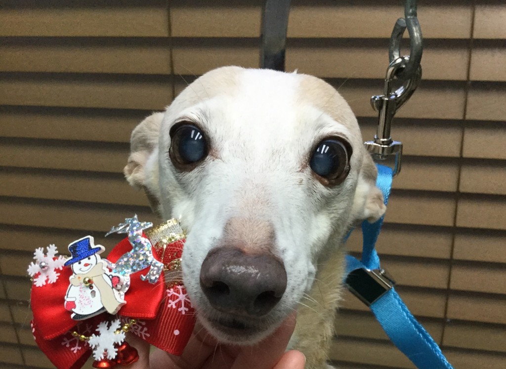 F72B4600-271A-4E43-B5CB-C36DF7ED5E38