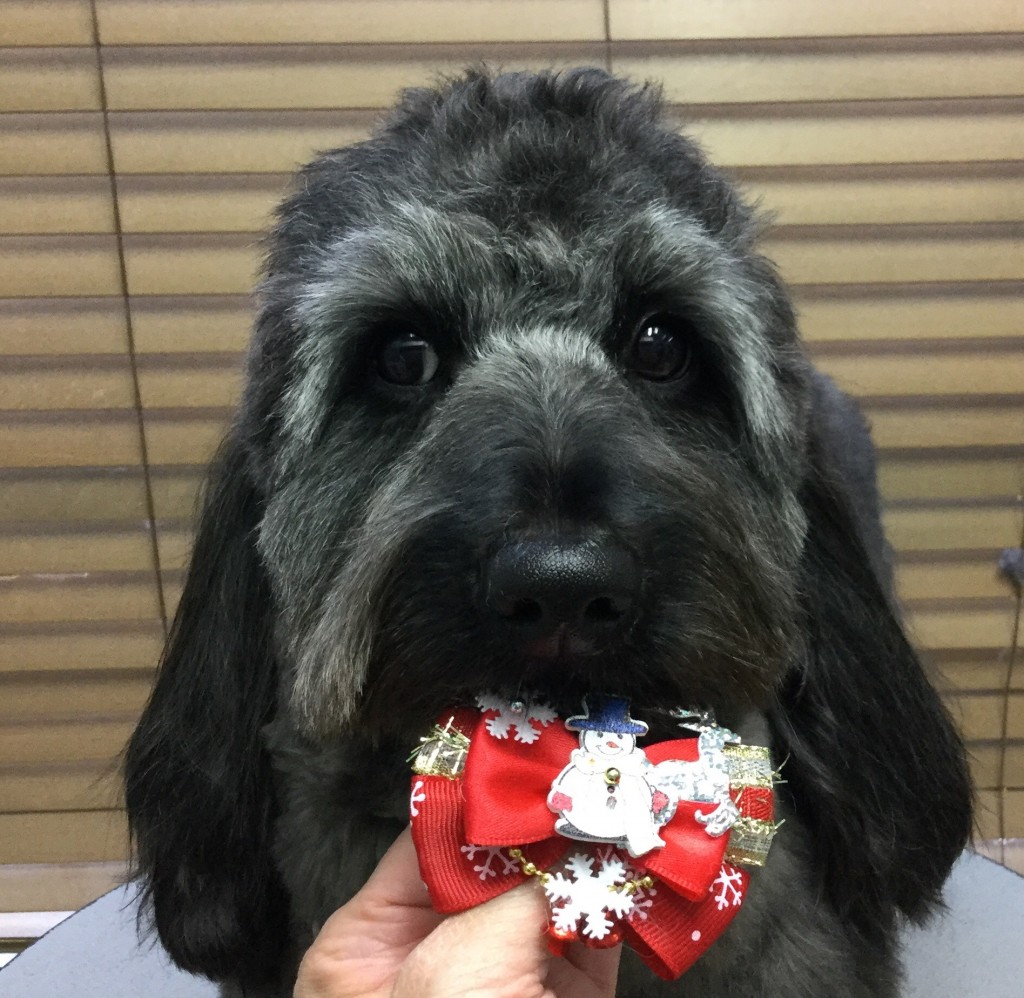 F7914CB9-3D40-472C-9FA9-D2EF34686628