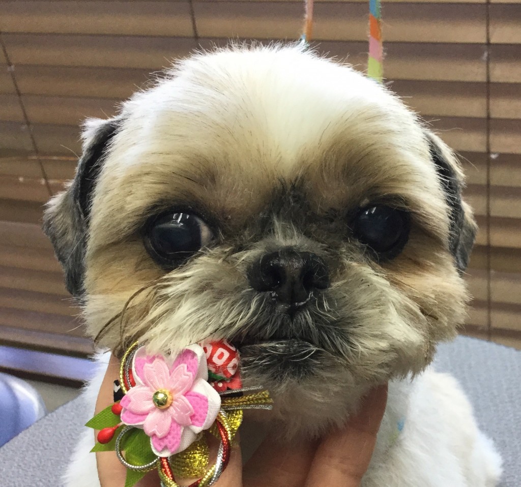 FA5D57B3-FBE7-42EF-BB73-57AC0C28B27D