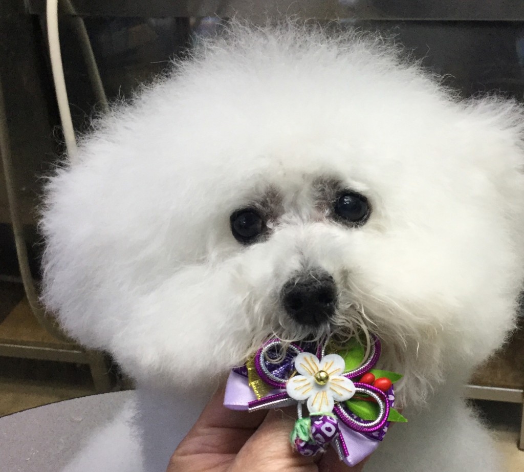 FCB06B33-624A-4BE5-810B-C2641BDB063C