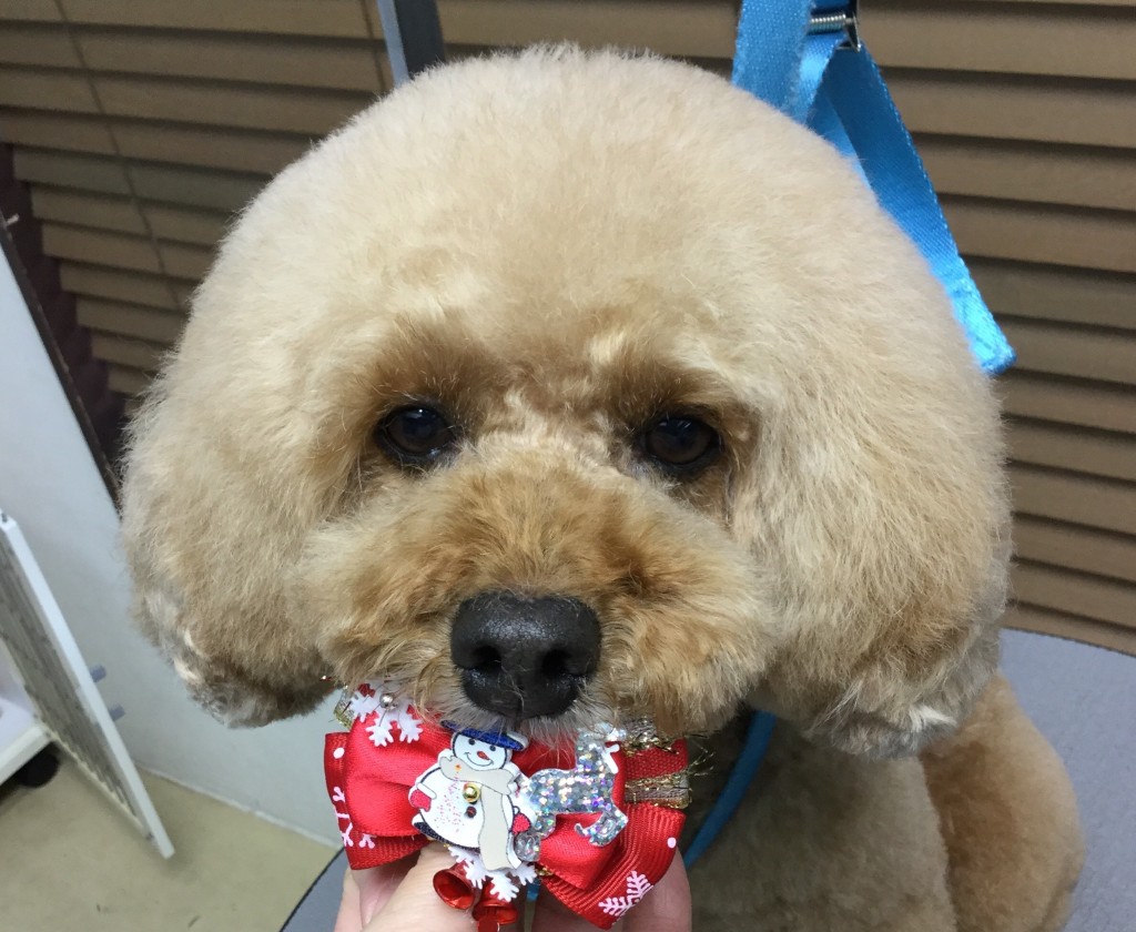 FD04D1EF-3390-4910-BB0C-E5F27F788D91