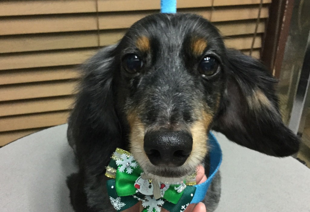 FE9731C6-AC77-49F1-9530-BB4B9B776C96