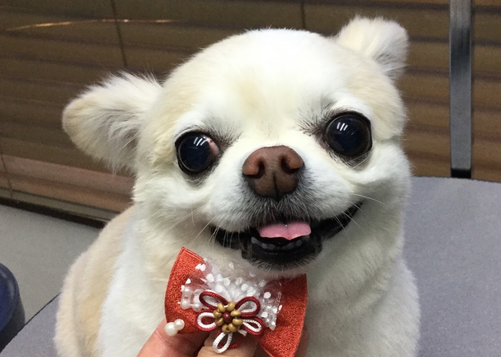 05FBE7F7-3E92-4C32-BED5-77497C7F5E91