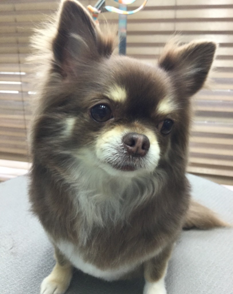 06AE3561-62DC-4384-A8A8-372205FB25BA