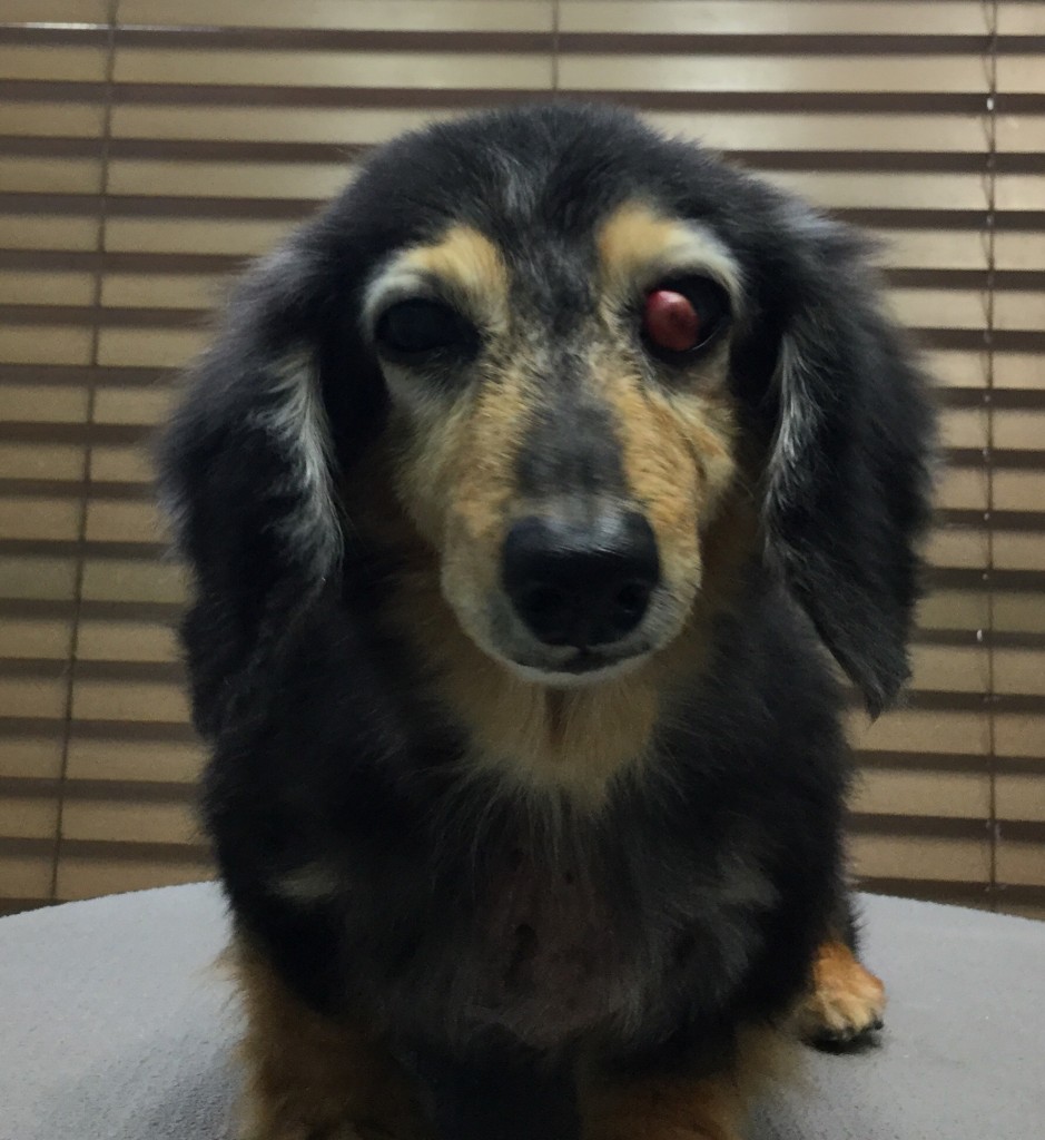 0E04C09F-56DB-4998-87FE-24105111A1F3