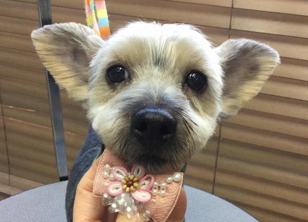 0F9BE797-37A9-42E8-8E5F-5840FCBB002F