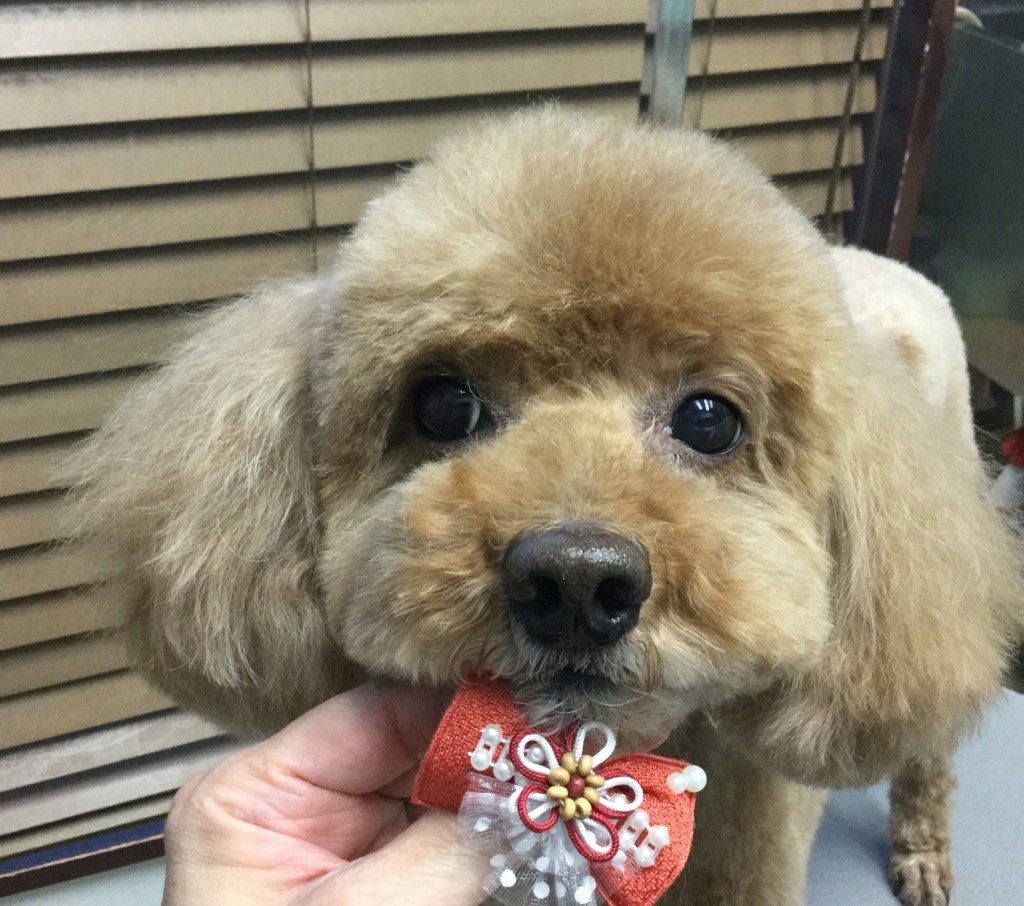 0FFE678A-1F34-4F30-B511-052F43BD027A