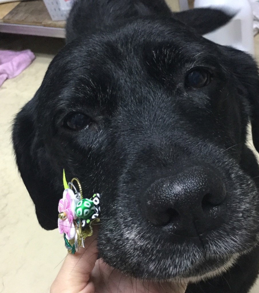 101D7BED-3335-44FC-9E50-0D7C4985A95E