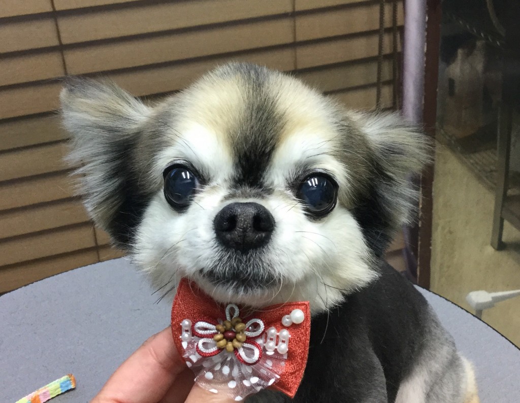 1792EE1B-80DA-4927-91FA-3F9A5658FA96