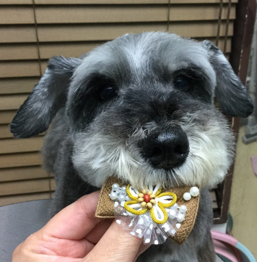 261A5469-E66E-4739-AF7B-7D9CA21C8D70