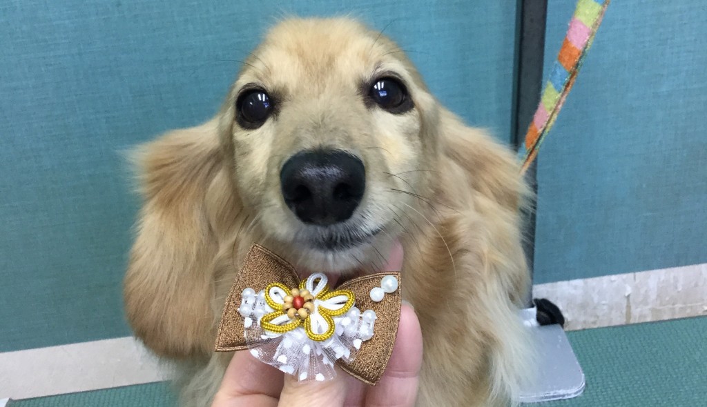 29262C98-0C7D-4496-B34A-C3E50F9D30BB