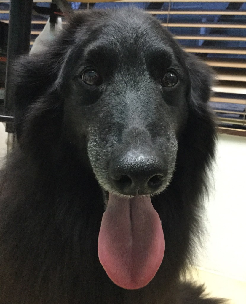 2E1AC384-D9AF-4B66-8B24-433C393B2B69