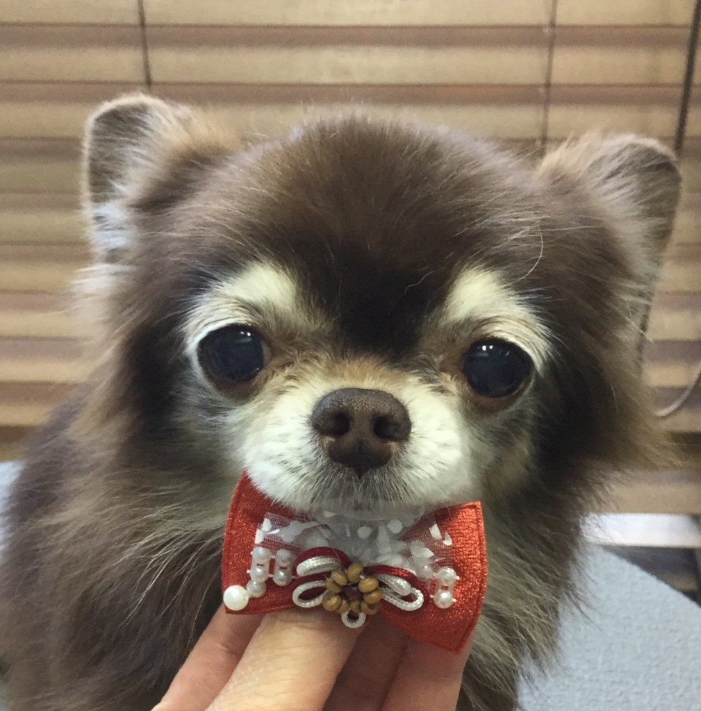 388A57F3-4A3F-4CE1-AEAB-27878BBEE006