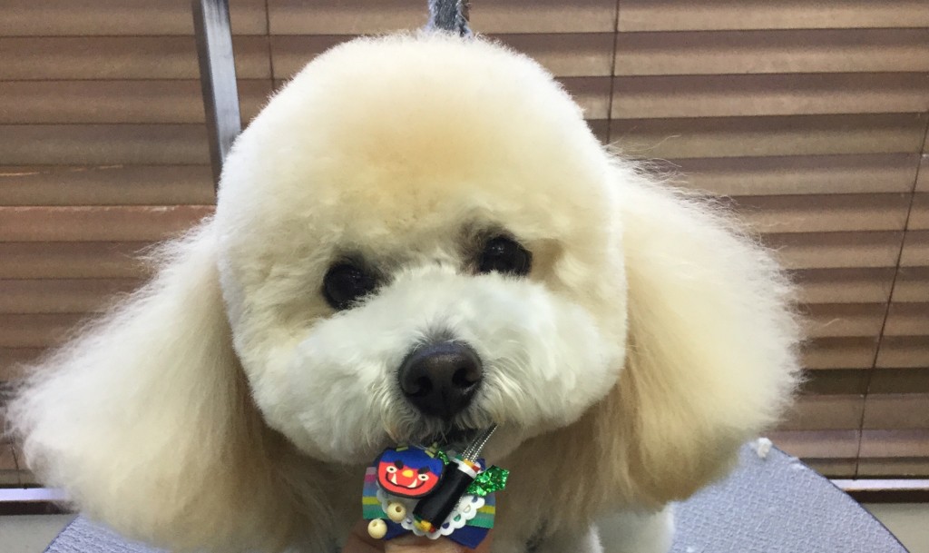 3A9458BA-8569-4FC0-833E-E54CDC4DC5BB