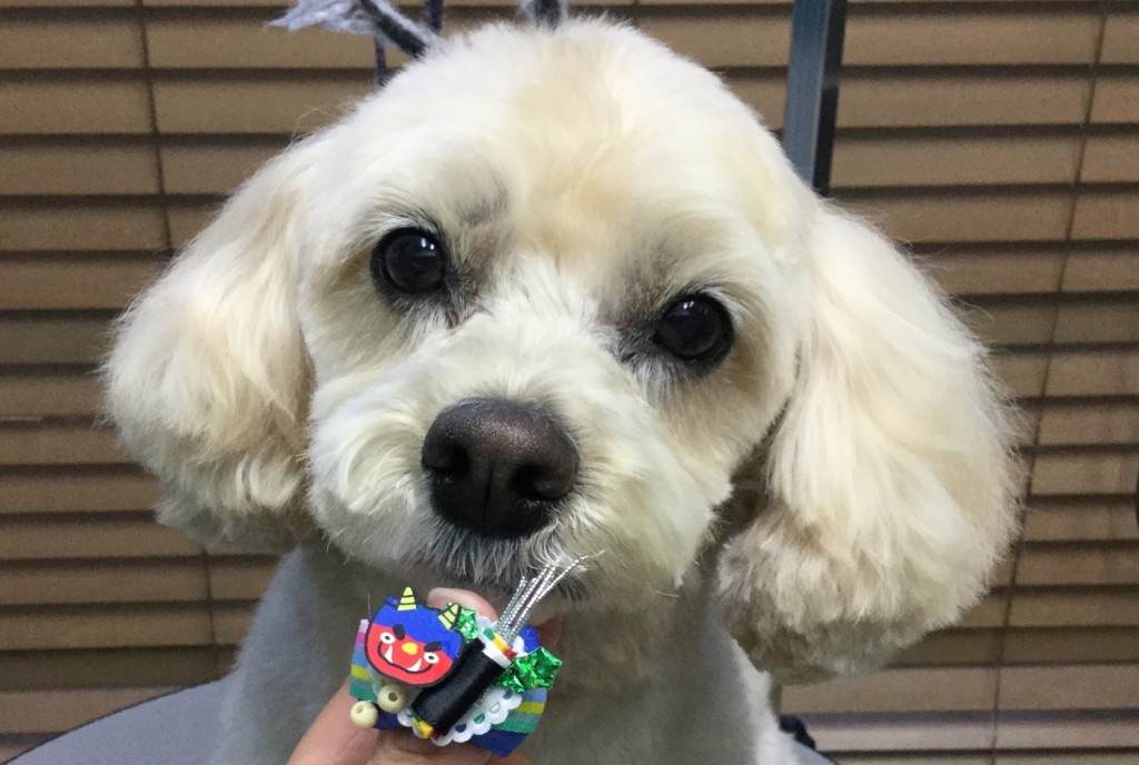 3AE7BC65-A1D3-4359-ABF8-78C9CF401A2A