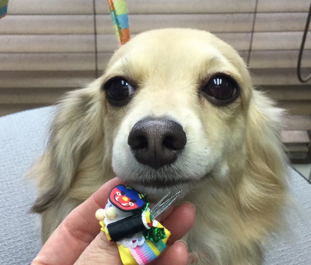 4117E4D5-8F72-4CD6-BC53-E0BFDD0FDE25