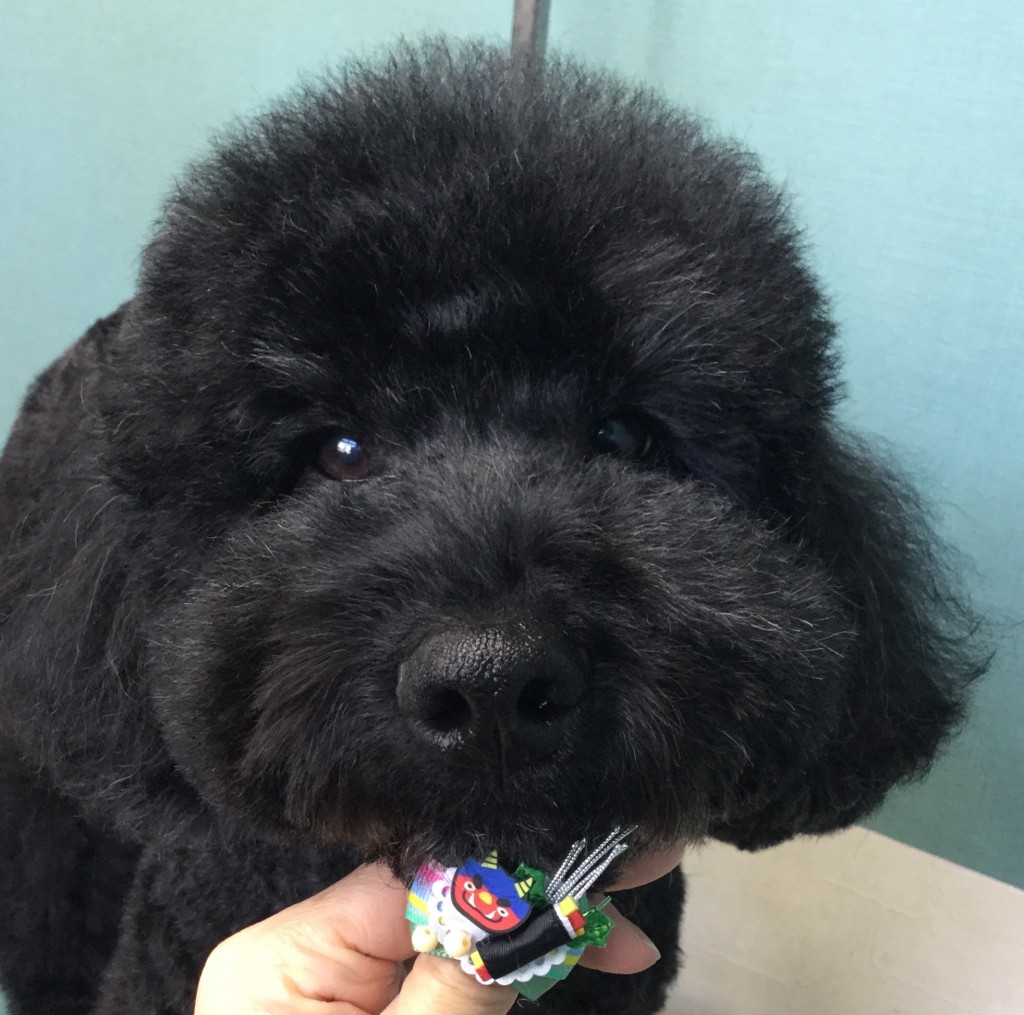 42FC7497-A2EC-4EE3-9638-AF2914E6888B