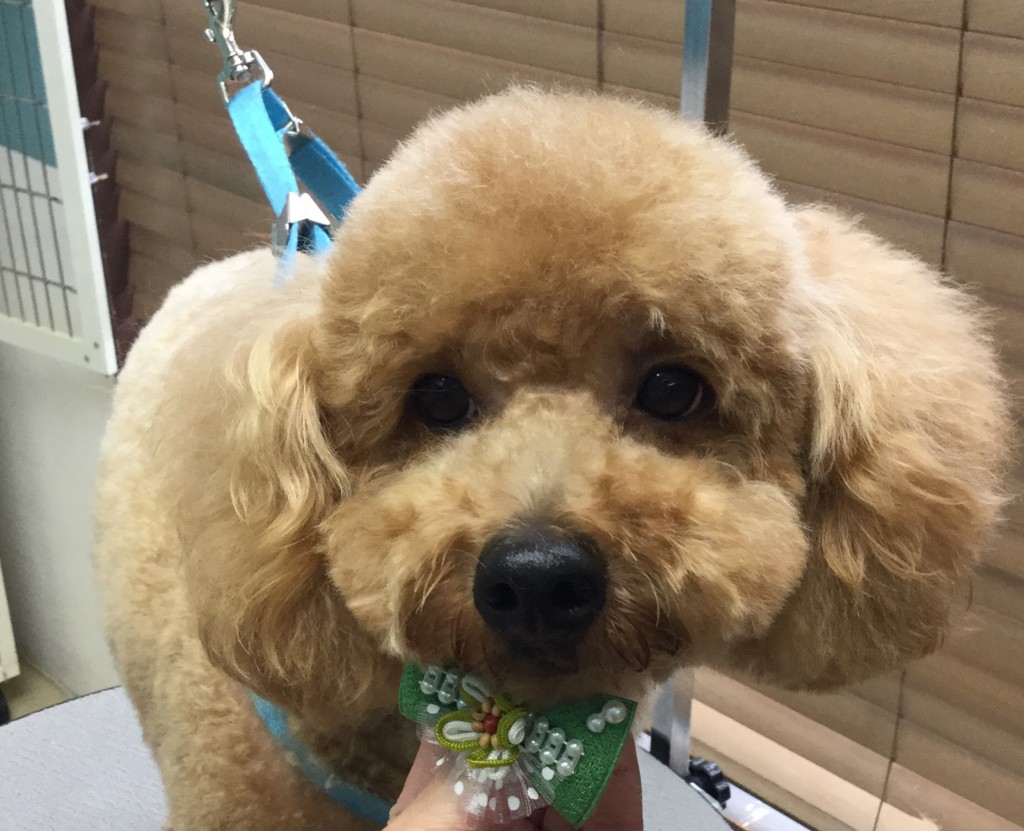 4337E234-9901-4BC9-A872-E6175CFF6722