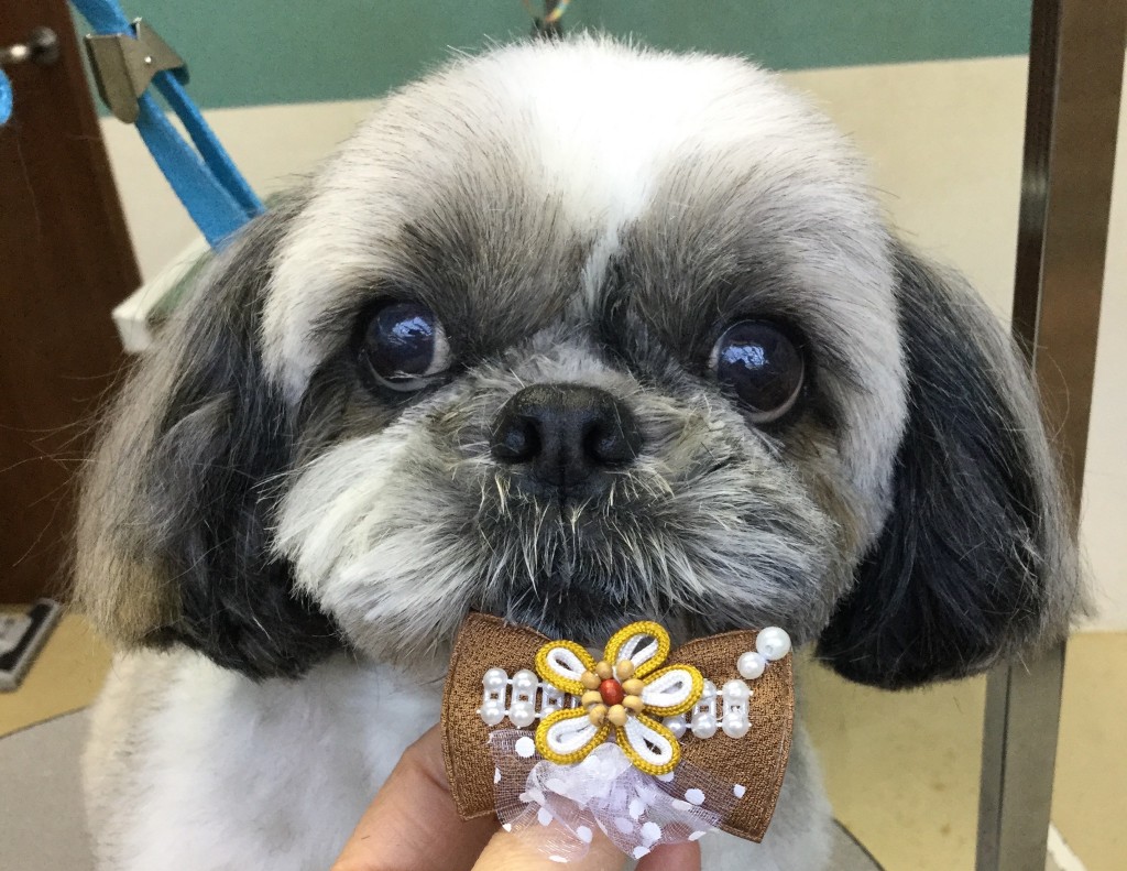 49CAC723-A292-4FBF-BDA2-EC0C9C8D8991