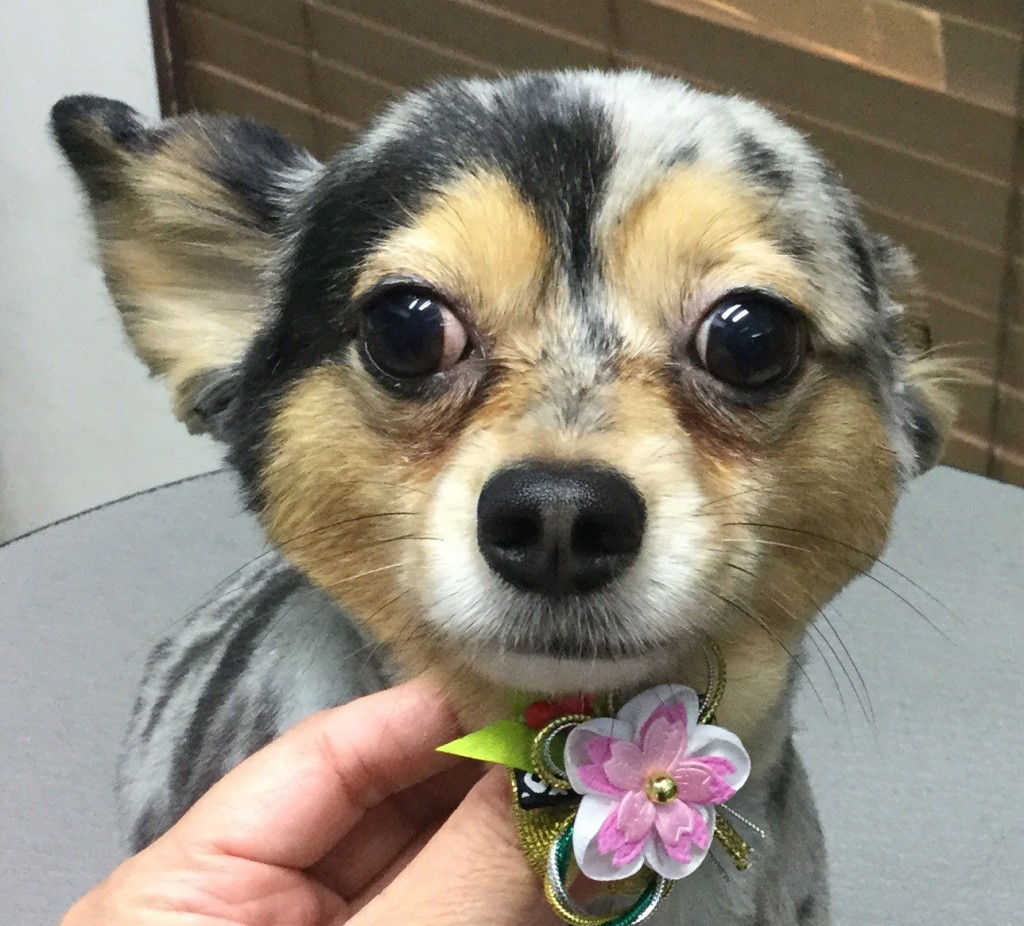 4D18A98E-33D6-48FB-99E6-F4B85974969B