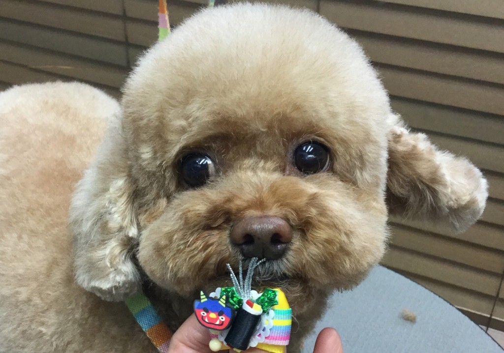 4F5A5864-23CF-4AC6-B466-28E0F1A5C56D