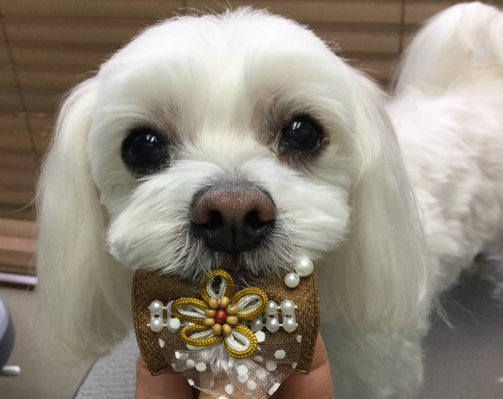 50E9EF72-9284-499F-9841-500DBB3C6FC0