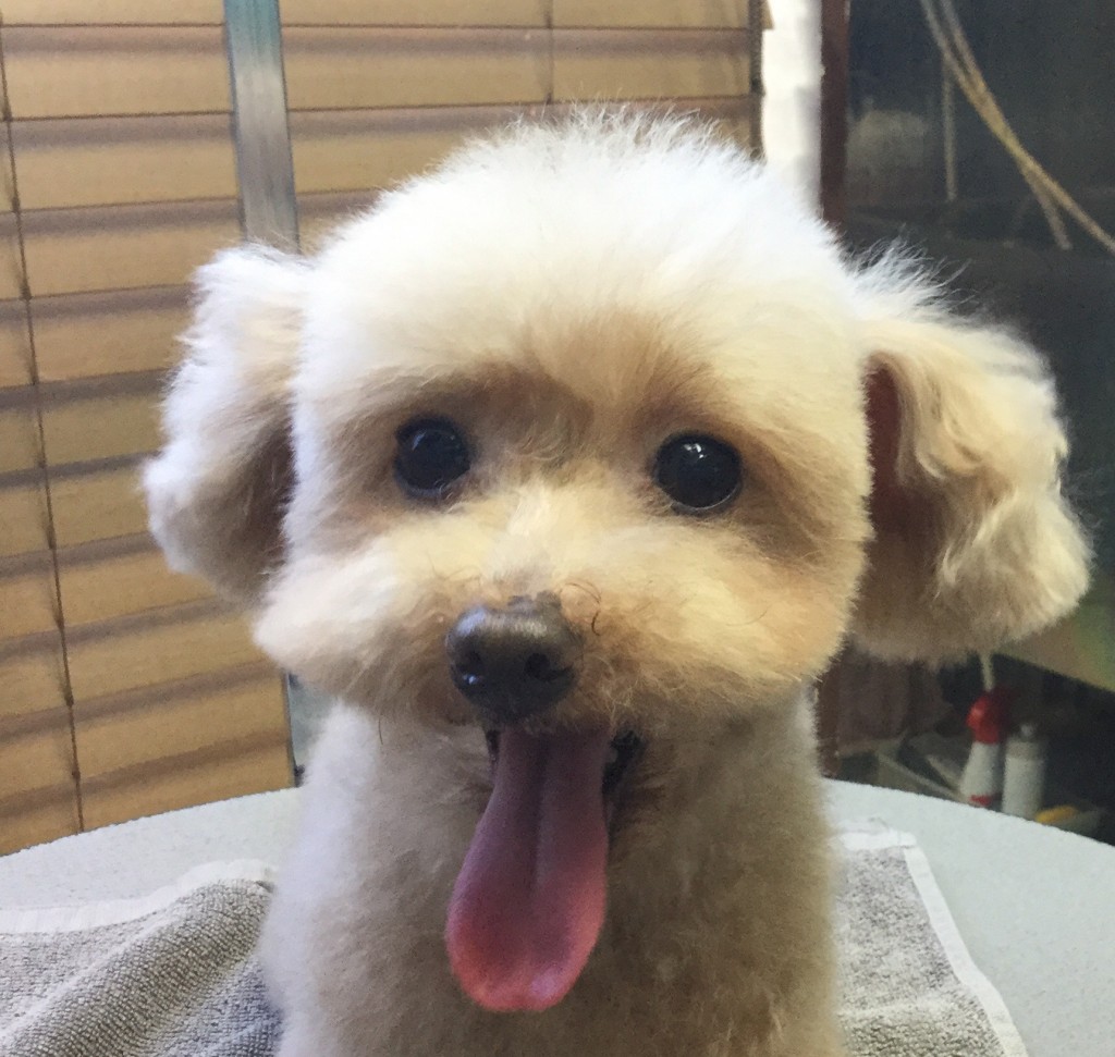 51E108D1-C1CC-49AF-BF87-3BCFBEFD34C3