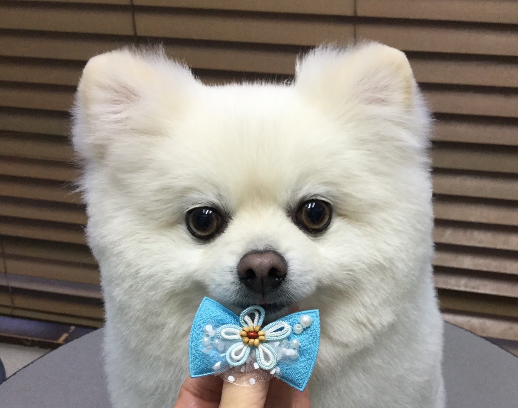 521E0BEE-4111-41B9-89D9-D55ADE995176