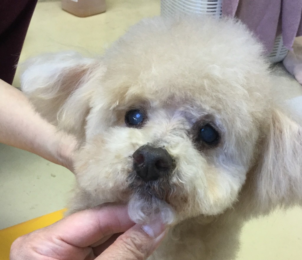 550F6B36-BD3D-440B-B61E-C98DE9F856BE