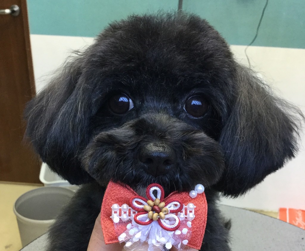 552D357D-F94E-4AA9-BFB9-33E9C49B6947