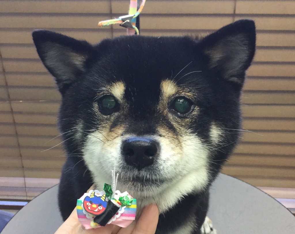 5F99694C-99EE-4460-AAFE-DF657A183E4D