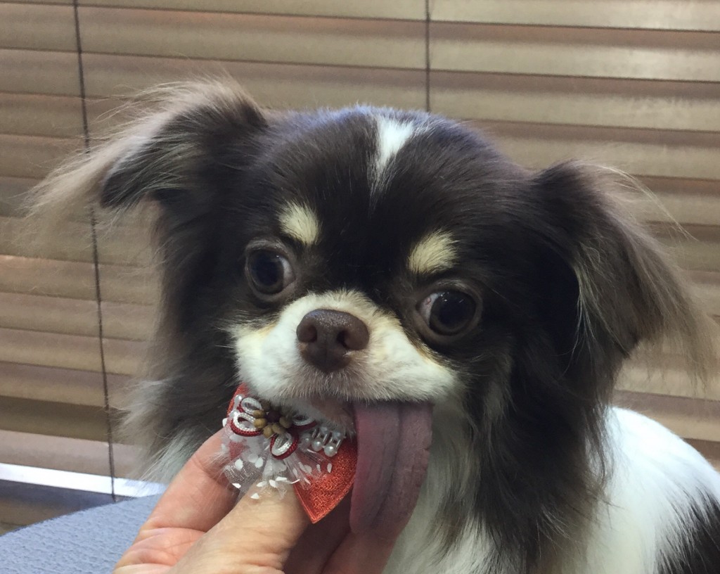 61C6C984-351F-4EB7-ABB3-7ABA7064F3E5