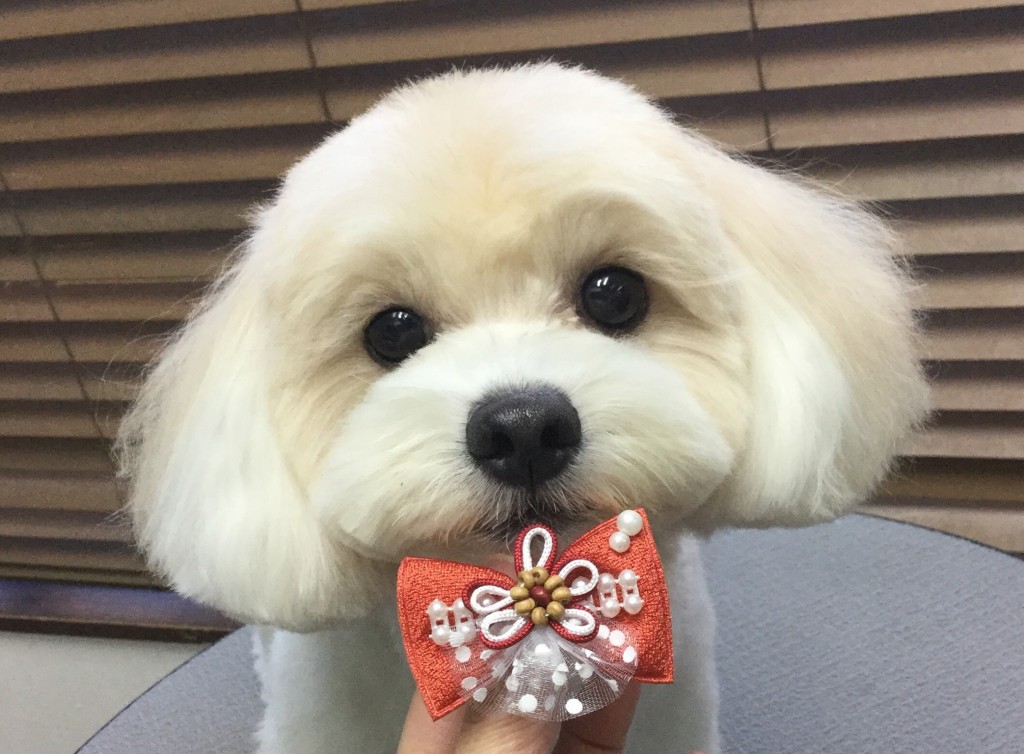 62C24D14-FDC0-4411-B7B6-F08EBC6B95D8