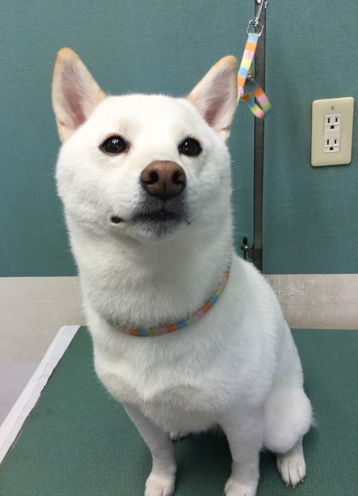 6BACAFC7-08A5-4F6B-AB40-D88557EBD8AA