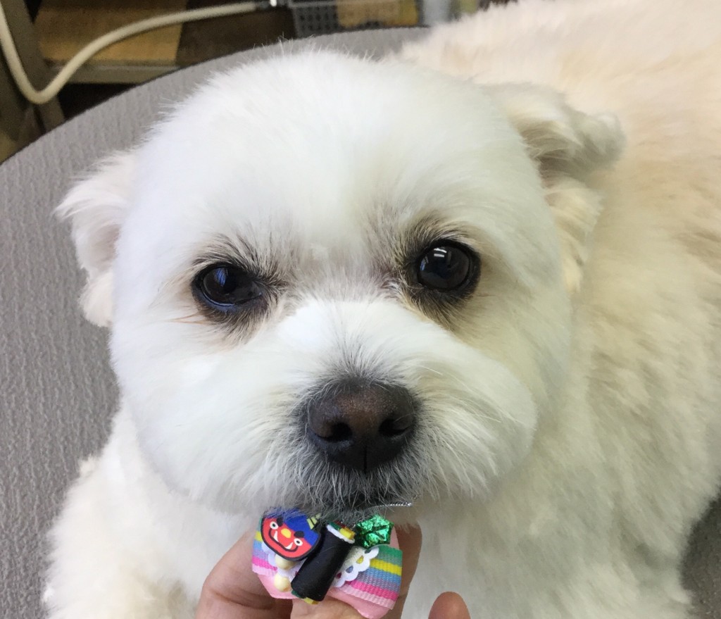 6DF24EE1-9102-44FC-A53D-400903481880